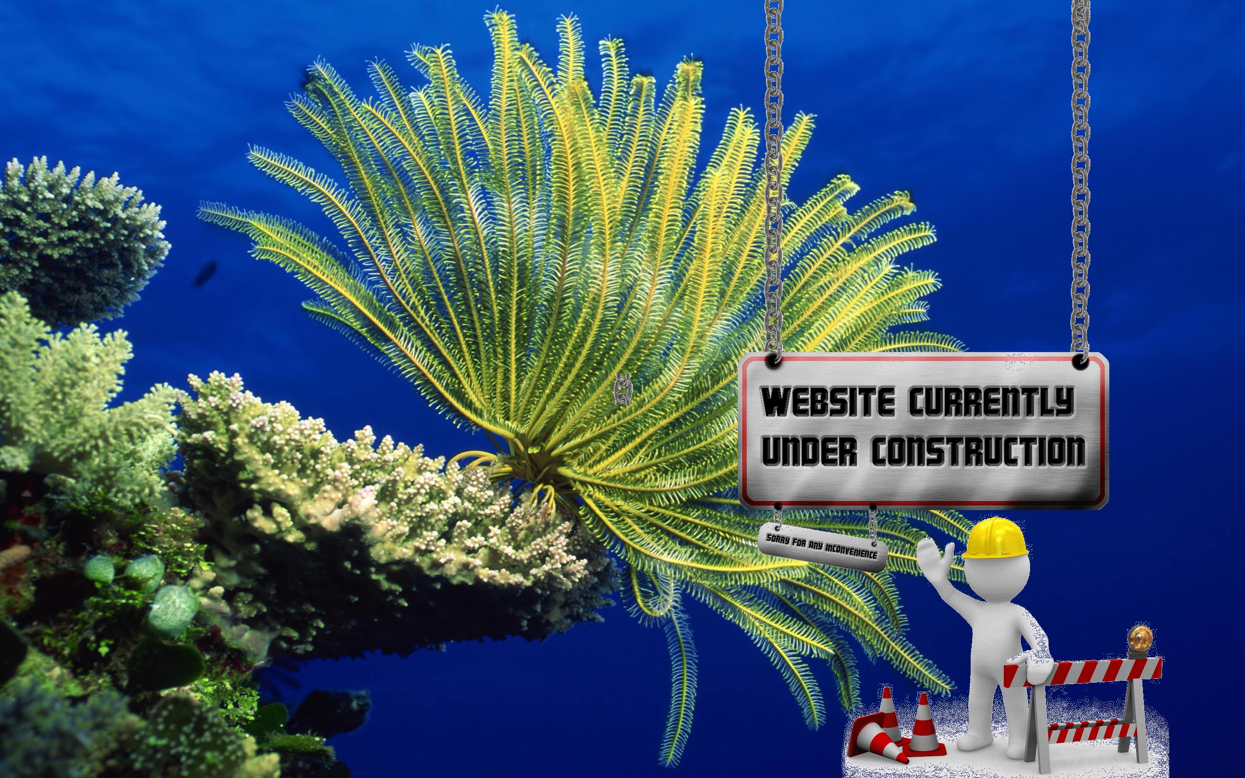 onderwater constructie